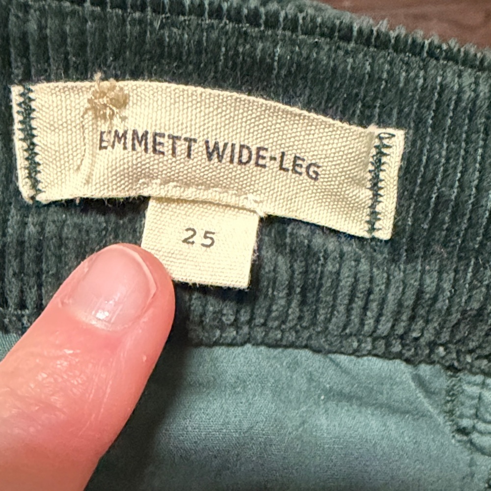 Madewell Emmett Wide-Leg Pants in Green